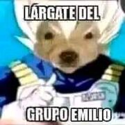 Vete