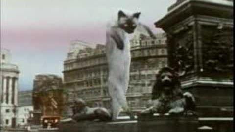 Monty Python Created Loongcat