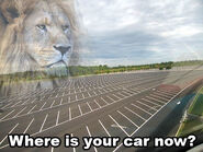 Jesus Christ It's a Lion Get In The Car - meme 6