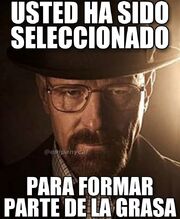Breaking Bad Grasa