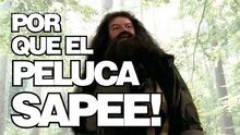Pelucasape.jpg
