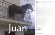 Juan - meme 1