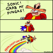 Pingas3