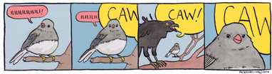 6db.png