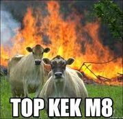 Top kek.jpg