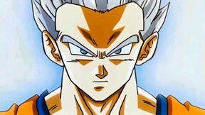 Gohan.jpg