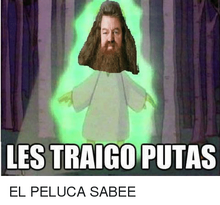 Hagrid10.png