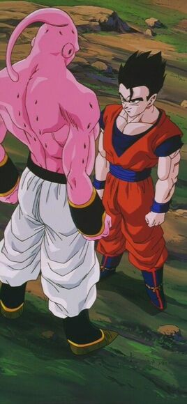 GohanYMajin