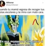 Miltoner roba un momo de SDLG