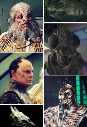 Xindi