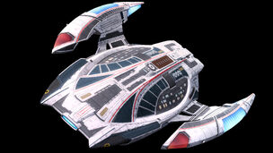 Eagle Class Raider