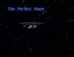 "The Perfect Mate"