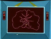 Kosmische Wolke Schema
