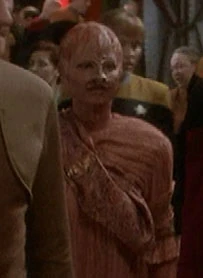 Deep Space 9 visitor (DS9: "Rules of Engagement") Played by Ivy Borg