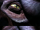 Species 8472 eye.png