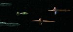 Vulcan-Tellarite-Andorian starships