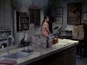 Test tubes on a counter