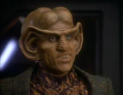 Quark, 2369