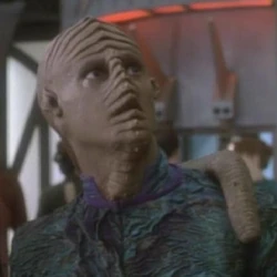 A member in the Replimat (DS9: "The Storyteller")