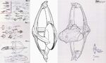 D'deridex initial design sketches.jpg (176 kio) Oiseau-de-guerre romulien (concept vertical) (ST Bonus - Prévu en 2022)