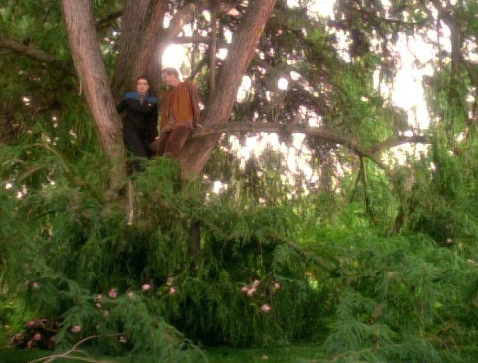 Dax and Deral on a tree