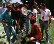 Filming the survivors