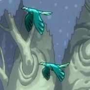 Large-billed bird in menagerie.jpg (17 KB) Birds with large beaks