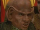 Broik