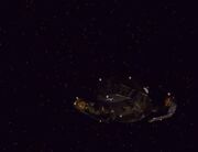 Hirogen-Angriffsschiff