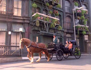 Horse and carriage in New Orleans (2372)