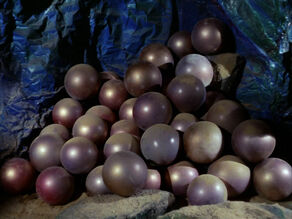 Horta eggs