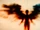 Red angel blurry, DIS opening title.jpg