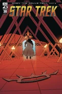 Star Trek 30 cover A.jpg (600 KB) "Star Trek, Issue 30"