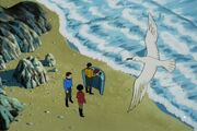 Rec Room - The Beach