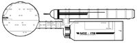 Daedalus dorsal
