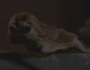 Rhyl.jpg (10 KB) Rhyl