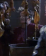 Xanthan bazaar visitor ENT: "Rajiin" (uncredited)