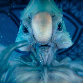 Fuzz, a male Nanokin