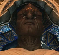 Rejac - Nosiciel Pochodni