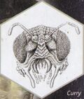 Xindi-Insectoid head sketch