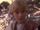 Michael Welch