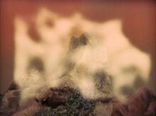 Dikironium cloud creature-0