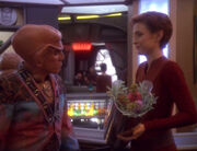 Quark giving Kira Nerys Bajoran lilacs