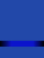 Lieutenant junior grade insignia