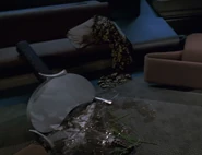 The dress in Tuvok's quarters VOY: "Prophecy" 2001