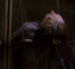 Kreetassan on repair station