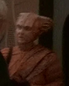 Played by an unknown actress (DS9: "In Purgatory's Shadow")