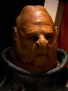 Nar 2378.jpg (81 KB) …und als Nar.