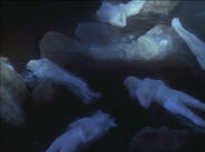 Corpses in the cave