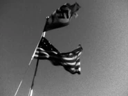 American and German flags.jpg (1.88 MB) Newsreel footage of the American and Nazi flags, only flown together in an alternate timeline